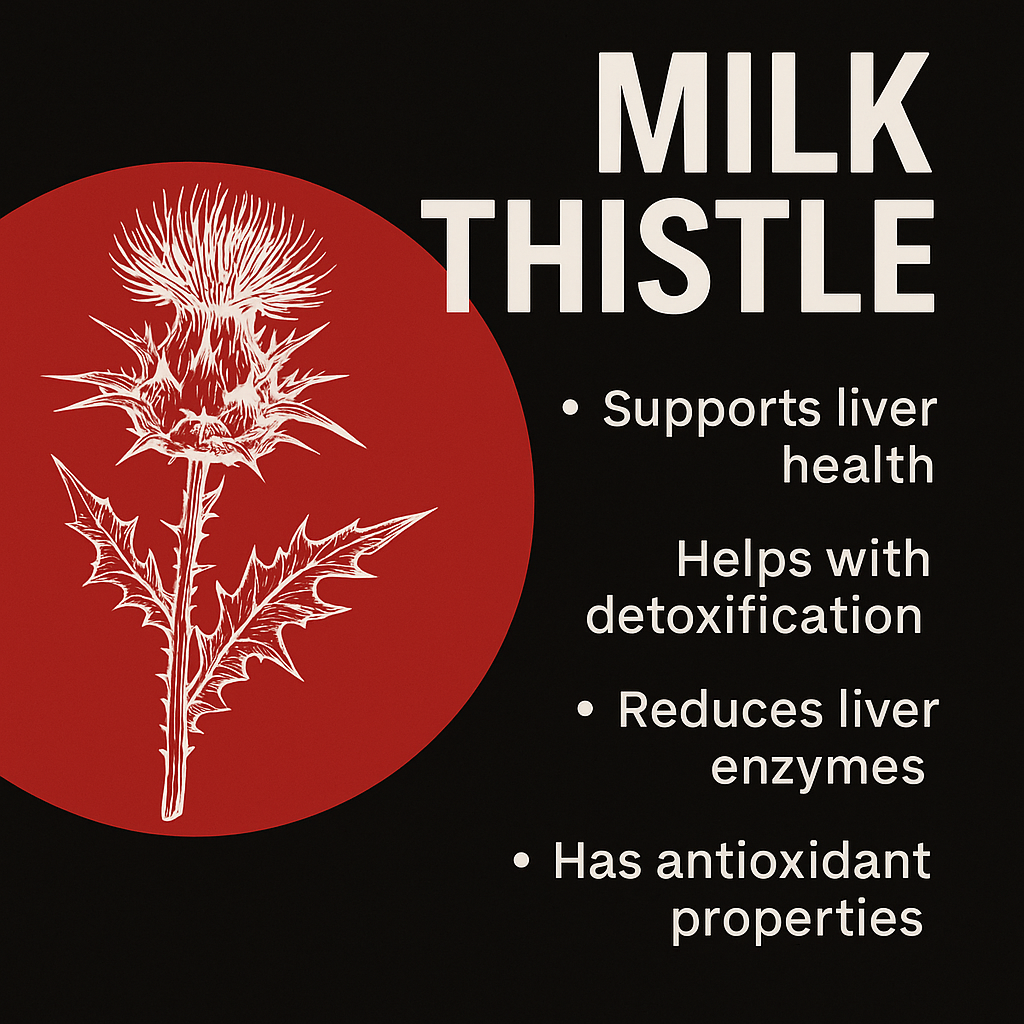 Milk Thistle: The Liver Defender You Didn’t Know You Needed